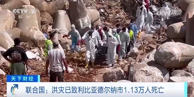 新启航娱乐网站